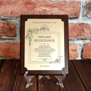 Plachetă - Diplomă de excelenţă (chimie)