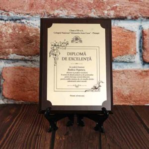Plachetă - Diplomă de excelenţă (fizică)