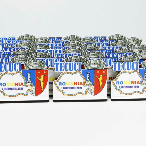 trofeu MDF Romania