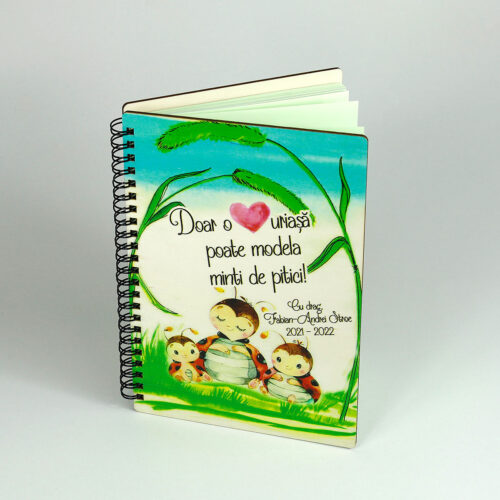 agende personalizate handmade pentru profesori educatoare invatatoare