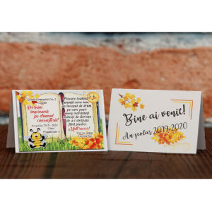 Magnet personalizat pentru elevi - Cadou prima zi de scoala Clasa albinutelor