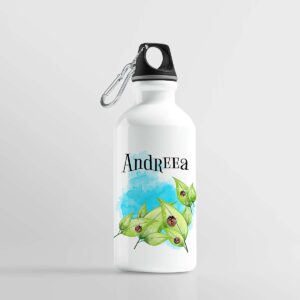Bidon de apa personalizat cu nume si personaj Buburuze
