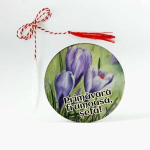 Brosa martisor cu branduse
