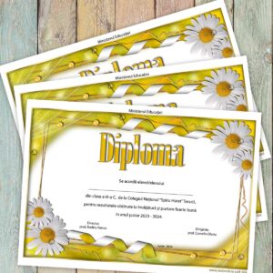 Diploma scolara  - model 004