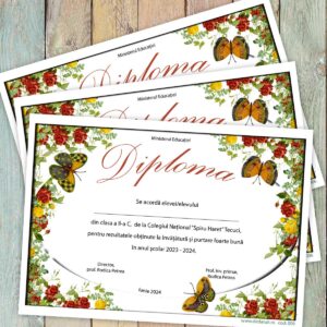 Diploma scolara - model 006