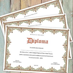 Diploma scolara - model 010