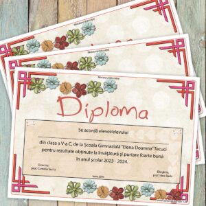Diploma scolara - model 124