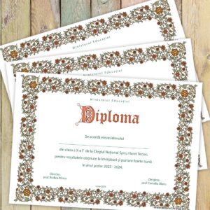 Diploma scolara personalizata - model 013