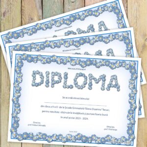 Diploma scolara personalizata - model 017