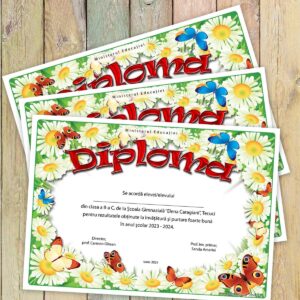 Diploma scolara personalizata - model 014