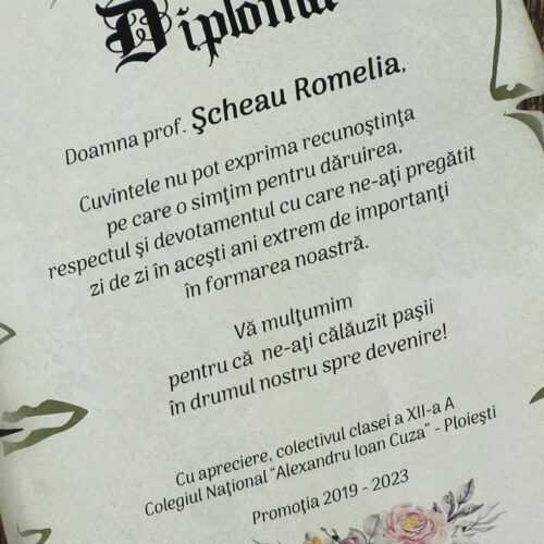 diplome profesori