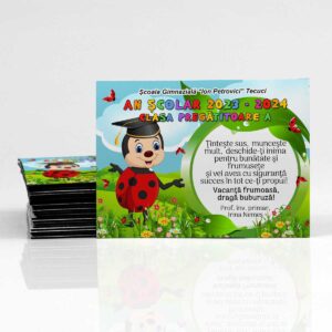 Magnet - cadou de la doamna invatatoare educatoare - clasa buburuzelor