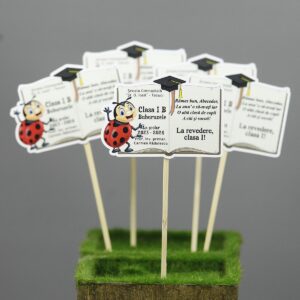 Semn de carte - topper cu mascota - clasa buburuzelor