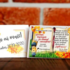 Magnet personalizat pentru elevi - Cadou prima zi de scoala Clasa minionilor