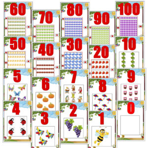 Set planse didactice Cifre si numere (format A4)