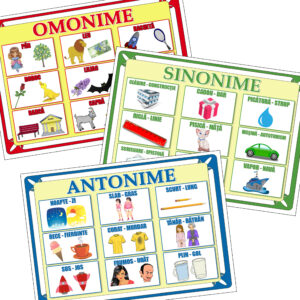 Set 3 planse didactice Sinonime, Antonime, Omonime (format A4 - A3)
