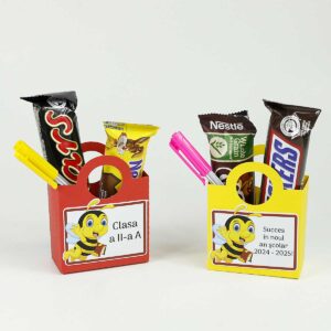 Cadou prima zi de scoala - Set creativ cutiuta cu mascota Clasa albinuţelor