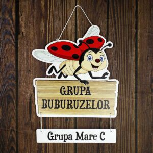 Decor usa - clasa buburuzelor