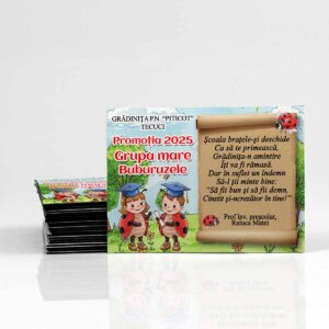 Magnet absolvire Grupa Buburuzelor