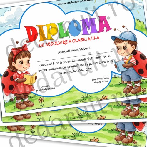 diploma scolara clasa buburuzelor