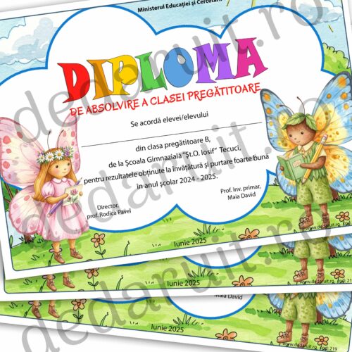 diploma scolara clasa fluturasilor