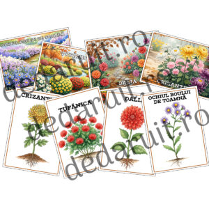 Set 8 planșe educative – Flori de Toamnă