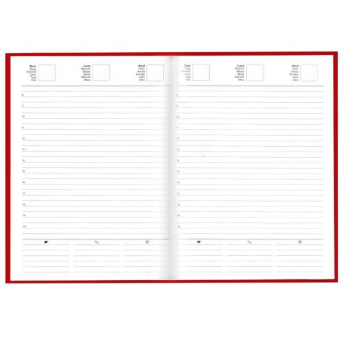 agenda A5 nedatata dedaruit 2